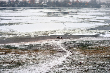 Neva River on the outskirts of St. Petersburg.