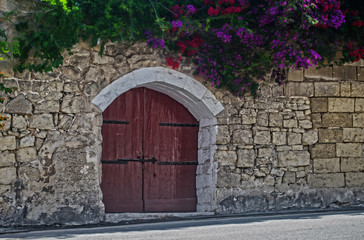 Old Wooden Door surrounded by Flowers