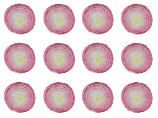 Juicy shallots slice circle shape alignment isolated on white background