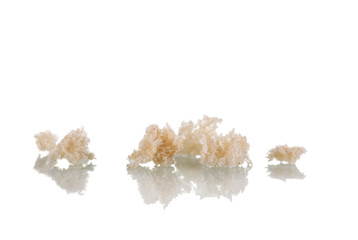 Crumbles to the smell of fresh bread isolated on white