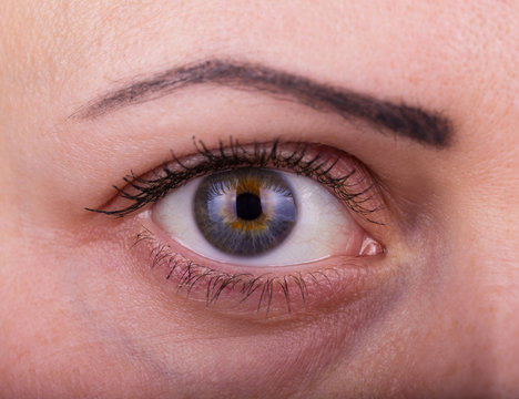 Human woman eye with day beauty makeup and long natural eyelashes