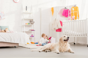 adorable children playing with toys, golden retriever lying on foreground in children room