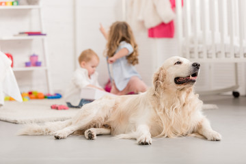 selective focus of sisters playing on floor, golden retriever lying on foreground in children room