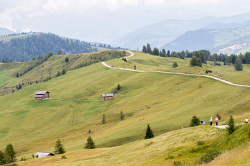 Fototapeta na wymiar Pralongià, Italy - August 24, 2018: Alpine landscape with green meadows and pedestrian path