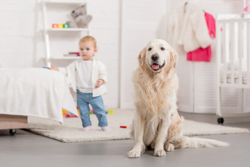 adorable child and golden retriever in children room