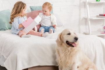 adorable children playing on bed, golden retriever sitting near bed in children room
