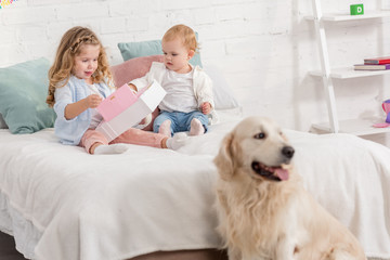 adorable sisters playing on bed, fluffy golden retriever sitting near bed in children room