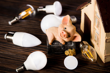 Fototapeta na wymiar Led lamps and piggy bank lie on a wooden background