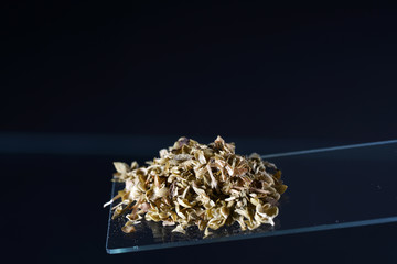 Oregano is a minor spice in German cuisine, but it is a very important spice in Italian, Greek and...