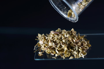Oregano is a minor spice in German cuisine, but it is a very important spice in Italian, Greek and...