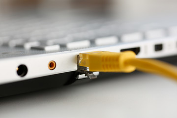 The network connector is inserted into the laptop