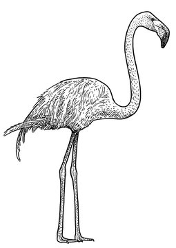 black and white flamingo standing profile clip art preview