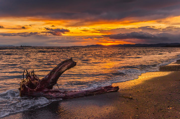 sunset on the beach