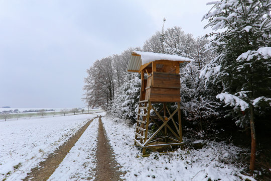 Winter forest. Deer Hunter's hideout on the edge of the forest