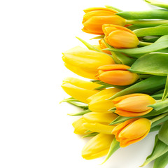 Bouquet of colorful tulips isolated on white. Flat lay