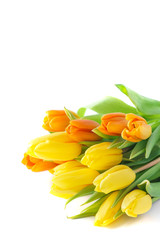 Bouquet of yellow and orange tulips isolated on white background