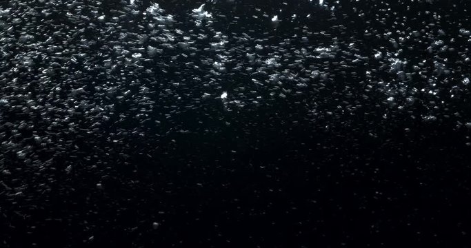 Real underwater illuminated Bubbles in slow motion. Ocean floor bubbles. Particles, rays of light. Real underwater. Deep under sea.  Underwater background VFX element.