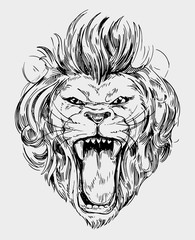 Head of roaring  lion. Hand drawn illustration converted to vector