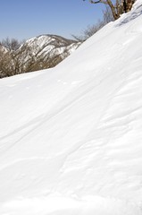 Obraz premium 雪陵の塔ノ岳より丹沢山