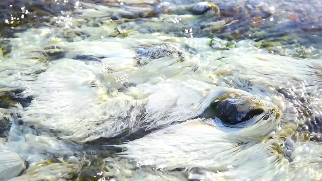 Bacteria Chloroflexus aurantiacus in hot springs, Chae Son National Park , Lampang Thailand