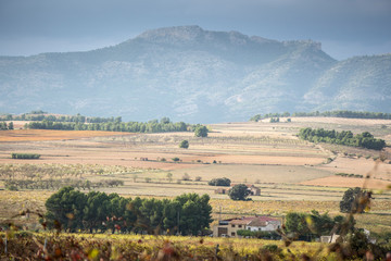 Autumn Vineyards and cellars in Fontanars dels Alforins and Moixent Valencia province Spain