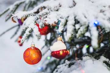 Close-up of a Christmas toy on a snow-covered lively tree in the winter forest on the background of lights