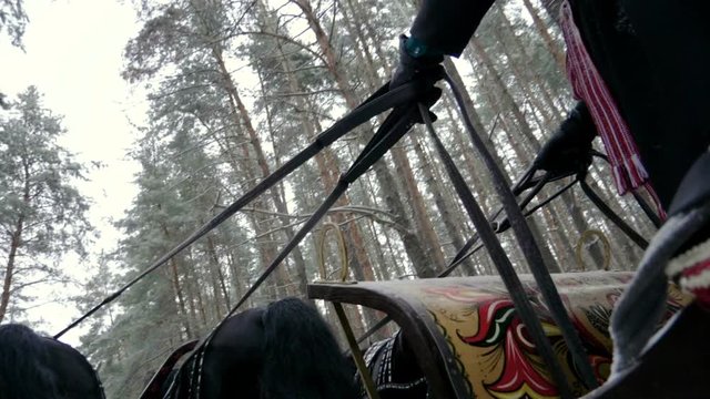 Russian Troika of horses. Three black and three white horses in harness pulling a sleigh in the winter forest. Slow motion. HD