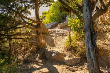 Ecological mountain trail in the Crimea, Golitsyn trail near Sudak, Russia.