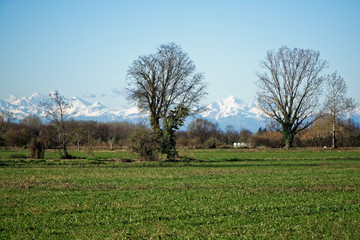 Naklejka premium Mountain Sight Landskape and green field, clear blue sky.