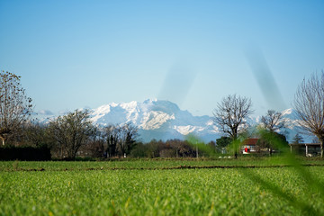 Mountain Sight Landskape and green field, clear blue sky