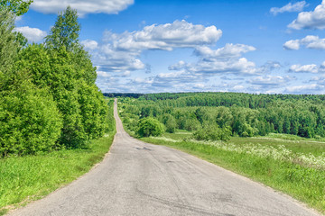 sunny country road in the summer goes into perspective