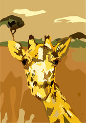 Vector illustration of giraffe
