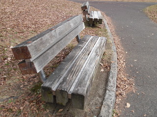 Old sofas made of trees