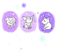 New Year's cheerful pig Set of drawings in vector, new year design, congratulation, postcard, pets, cartoon hero