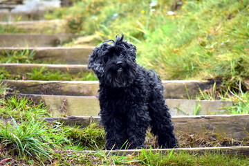 Elite sur un escalier