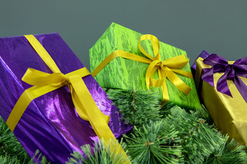 Purple, green and gold gift boxes on the branches of the Christmas tree on a gray background. Conceptual background for the design of the NewYear holidays.