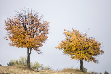 Fototapeta premium Autumn in Gudar mountains Teruel Aragon Spain