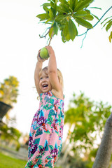 Little girl trying to get a pomello from the tree