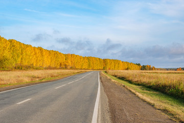 yellow autumn forest and road with markings, against the blue cloudy sky.