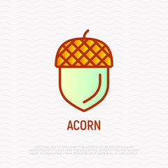 Acorn thin line icon. Modern vector illustration.
