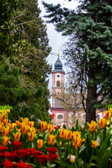 Tower of Saint Marien Church