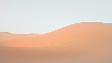 Marocco Sahara Dunes in evening mood, soft shadows and light