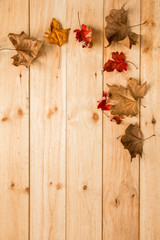 Autumn leaves on light wooden background with space for text