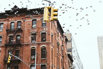 Fototapete Rund New York urban scene with birds flying over buidings in new york city, usa  © LIGHTFIELD STUDIOS