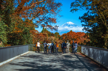 Traveler looking Mt.Fuji and colorful autumn leaf at Shiraito Falls in Fujinomiya, Shizuoka, Japan.