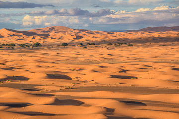 Sahara Desert in Merzouga, Morocco