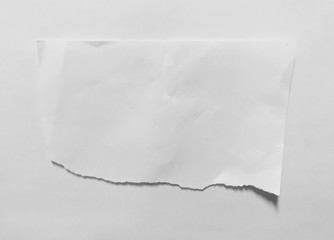 Pieces of torn paper on plain background. Copy space