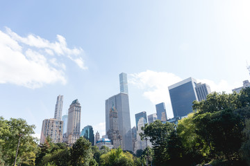 urban scene with trees in city park and skyscrapers in new york, usa