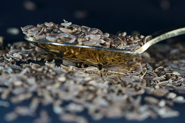 Caraway seeds are a classic spice in hard-to-digest foods, such as cabbage dishes.