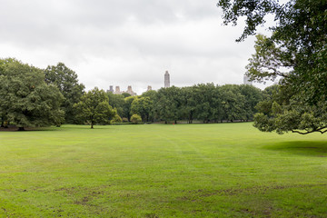 Fototapeta na wymiar scenic view of green trees and grass in city park in new york, usa
